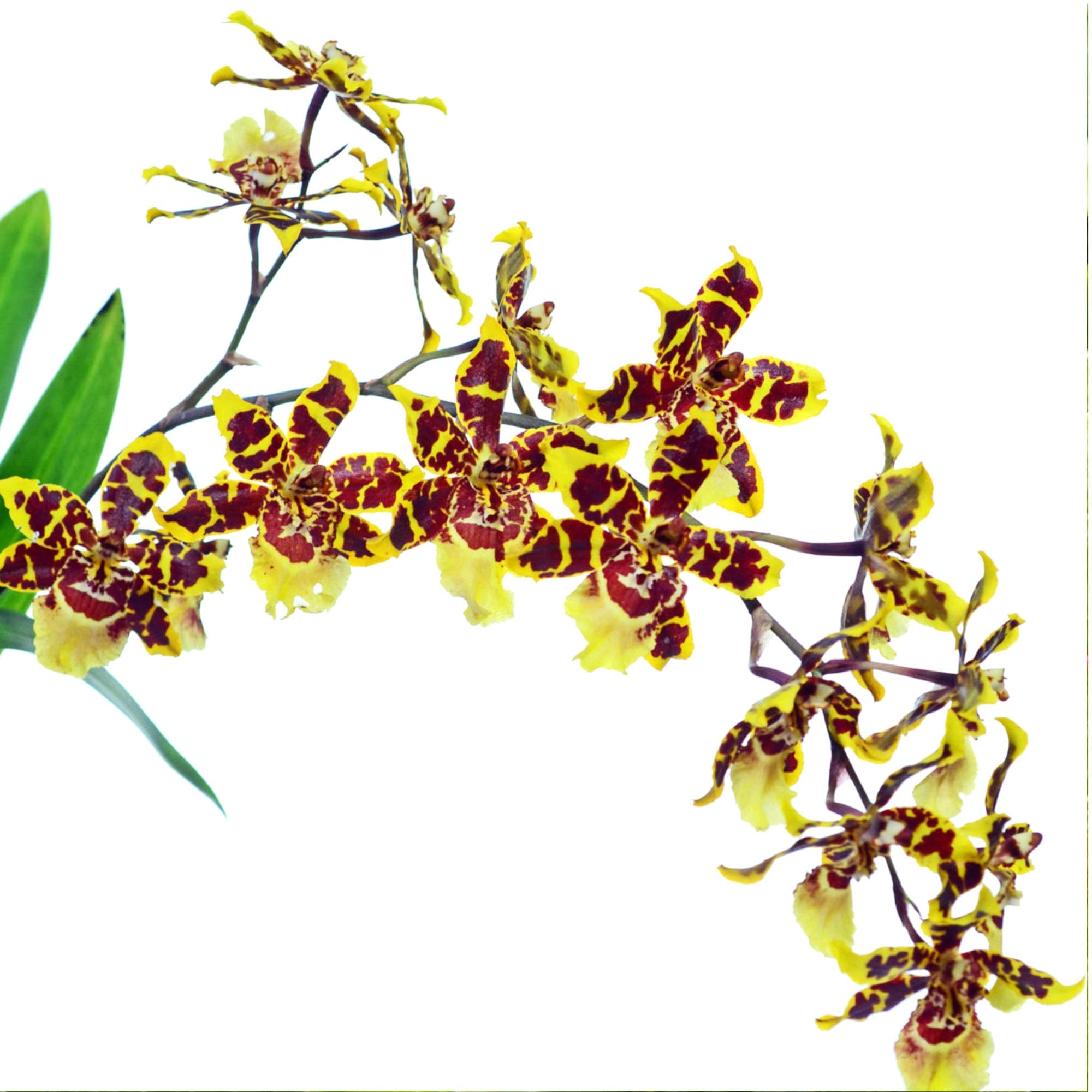 1_8ea4e583-df06-44e1-98ca-