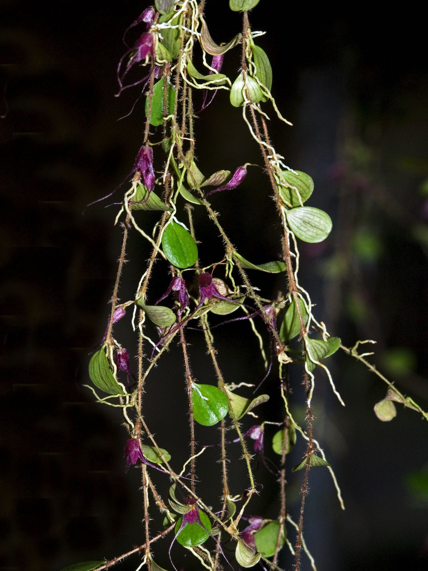 1_de0407ed-3ed4-4457-95dd-