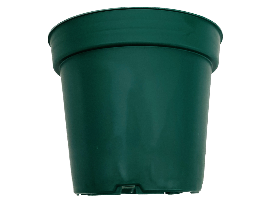 4.5' Pot - Green