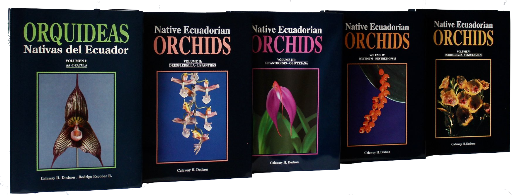 “Native Ecuadorian Orchids” — 5-Volume Collection
