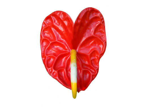 anthurium adina Anthurium andraeanum — Ecuagenera USA Corp