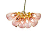 Bulbophyllum annandalei