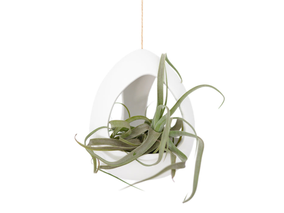 Large White Ceramic Hanging Pod