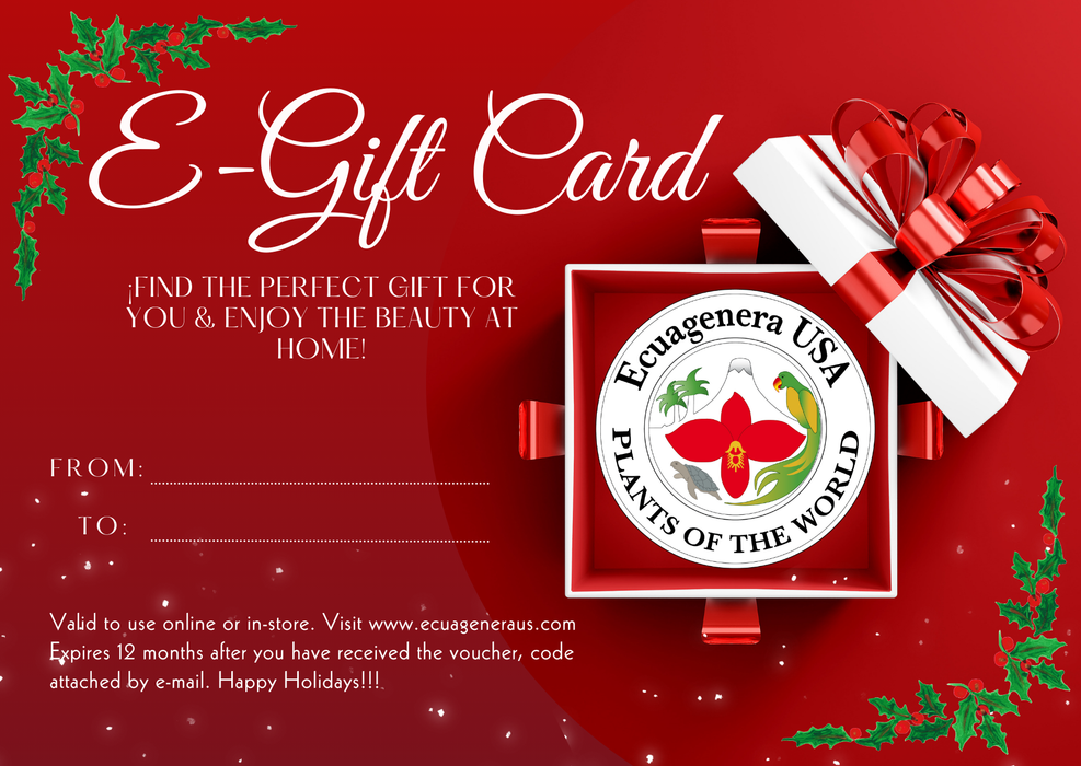 Gift Card: Ecuagenera Holidays