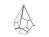 Glass Diamond Terrarium