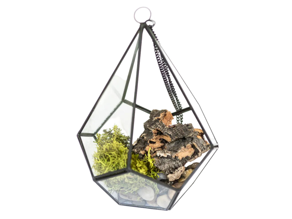 Glass Diamond Terrarium