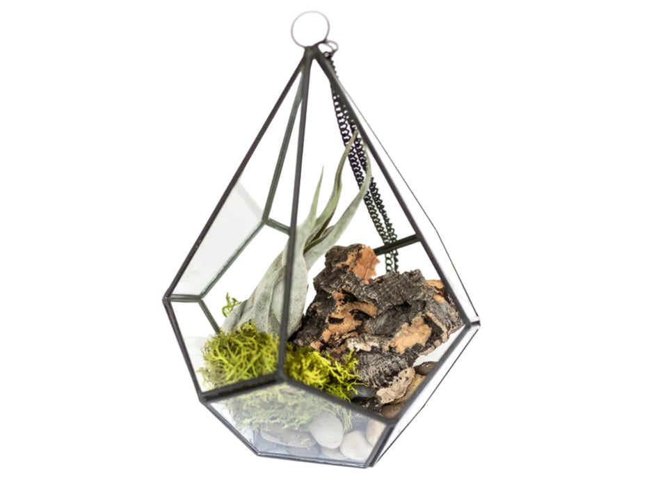Glass Diamond Terrarium