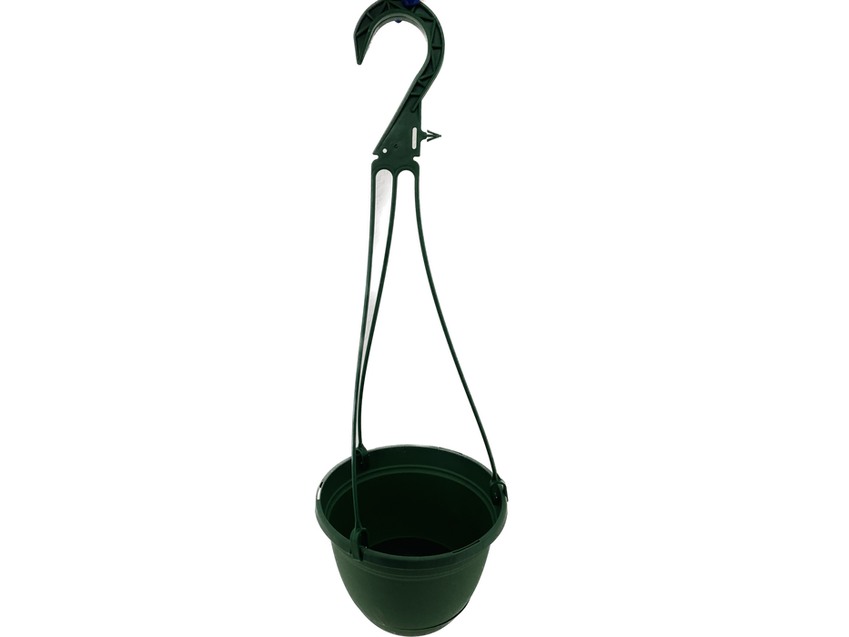 6' Pot - Hangig Basket