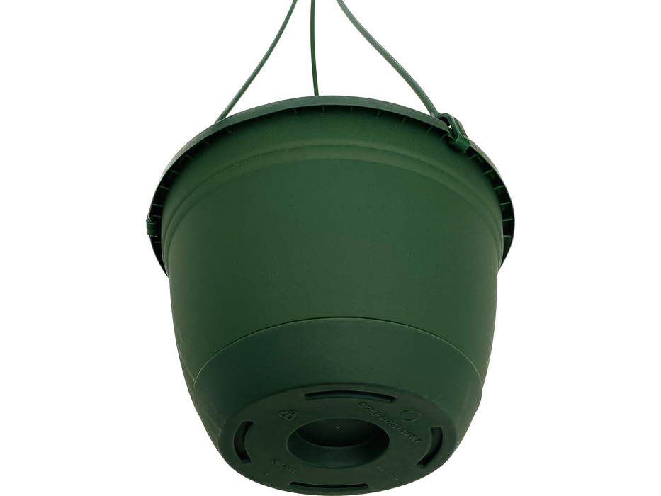 6' Pot - Hangig Basket