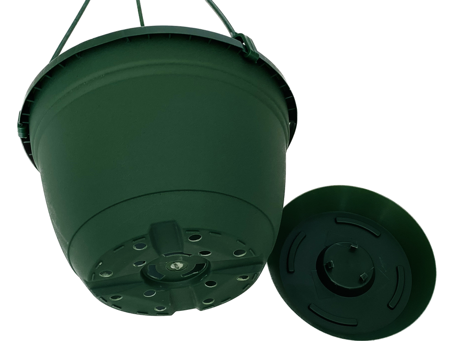 6' Pot - Hangig Basket
