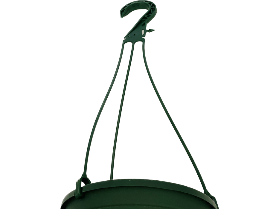 6' Pot - Hangig Basket