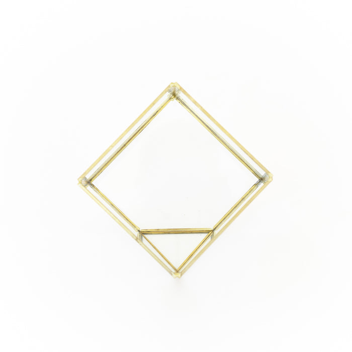 Heptahedron Geometric Glass Terrarium with Tillandsia Red Abdita and Ionantha Air Plants