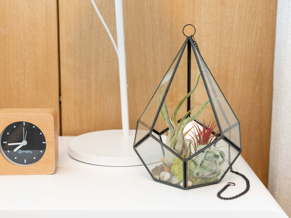 Glass Diamond Terrarium