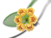 Hoya heuschkeliana yellow flowers