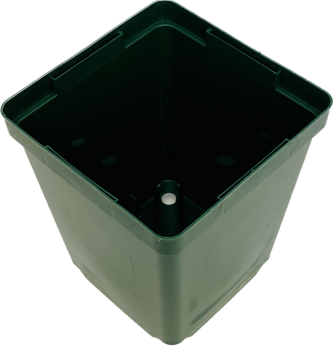 3.5' Pot - Square Green