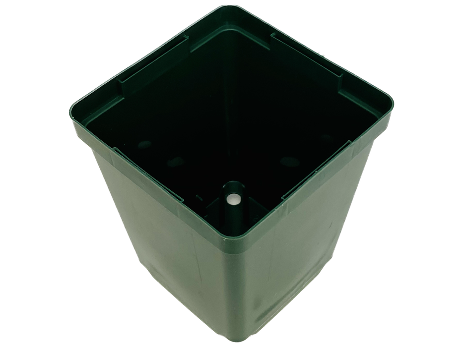 3.5' Pot - Square Green