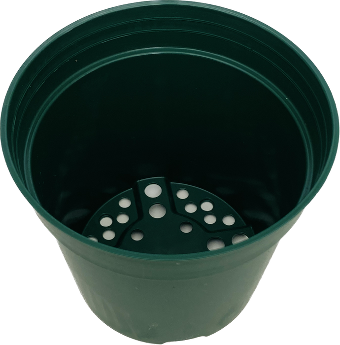 4' Pot - Round Green