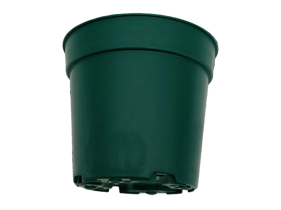 green plant pot 4' Pot
