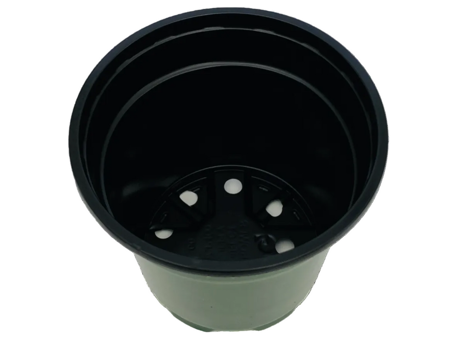 4' Pot - Round Green/Black