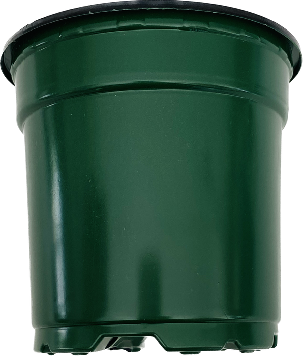 4' Pot - Round Green/Black