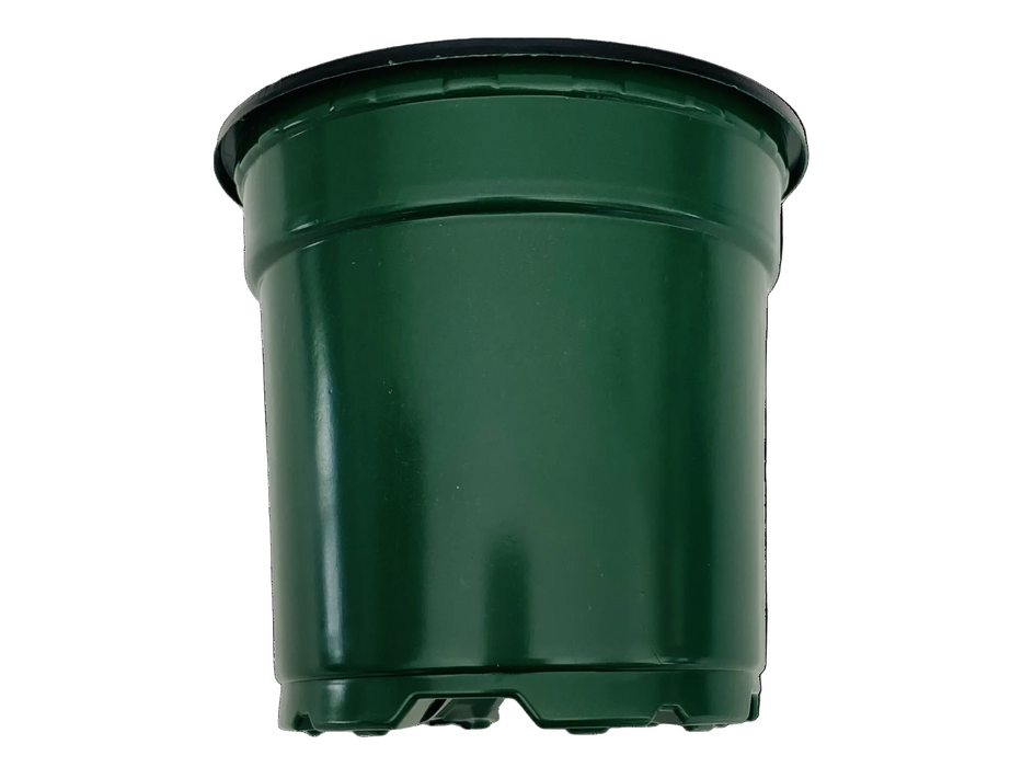 4' Pot - Round Green/Black