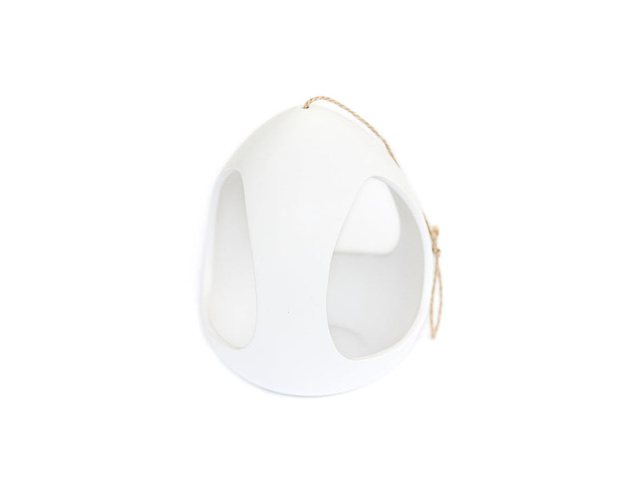 Large White Ceramic Hanging Pod with Tillandsia Xerographica