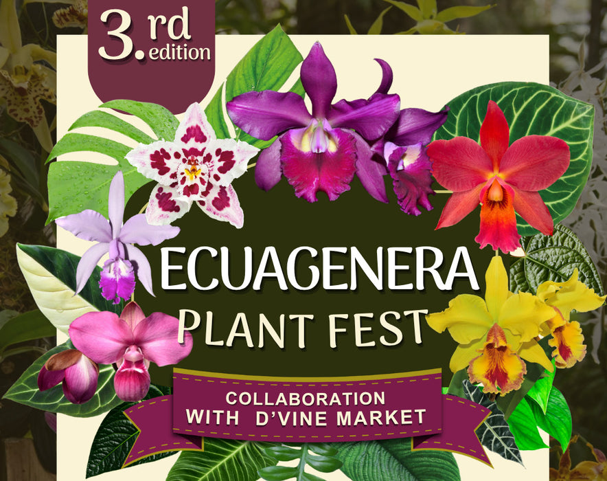 Ecuagenera Plant Fest