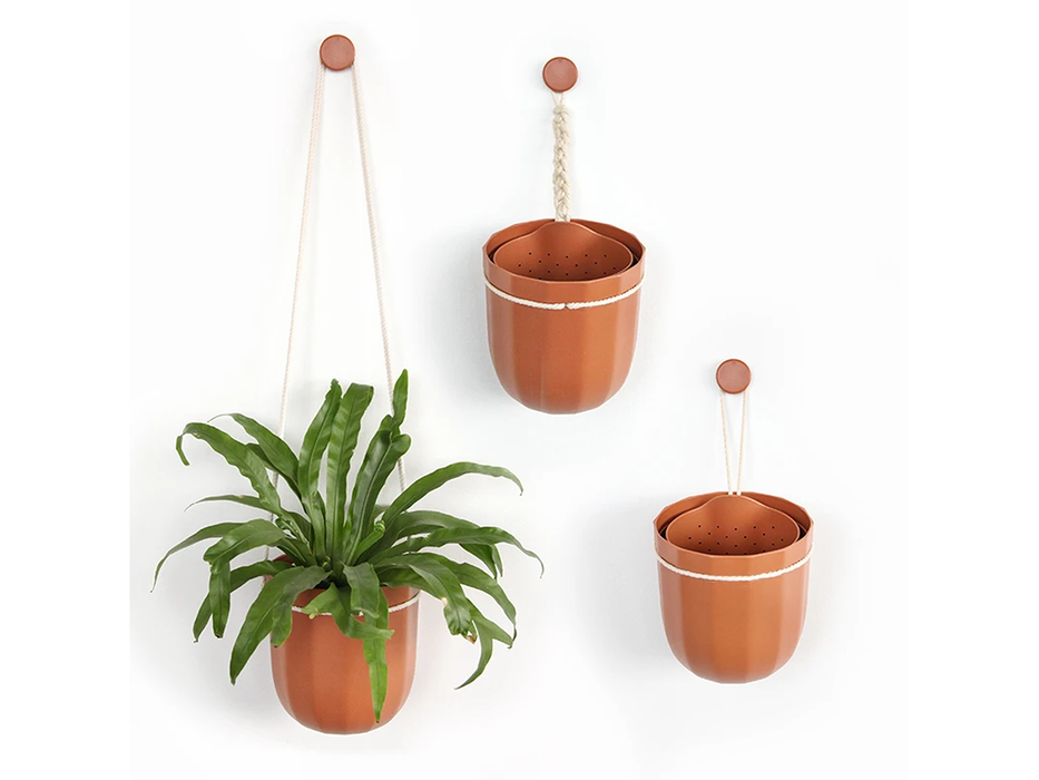 Loop Hanging or Wall Planter