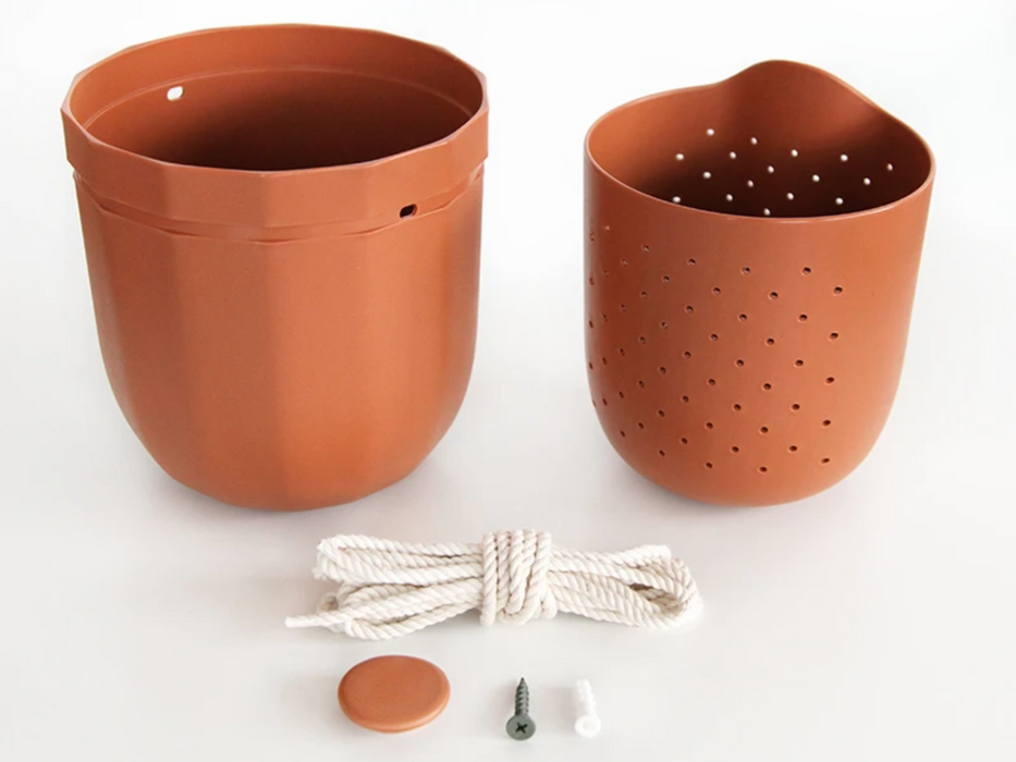 Loop Hanging or Wall Planter
