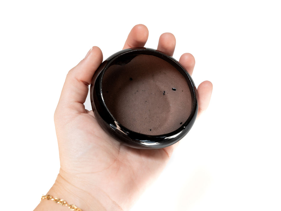 Fully Assembled Tillandsia Air Plant Dish Garden in Black Glazed Container