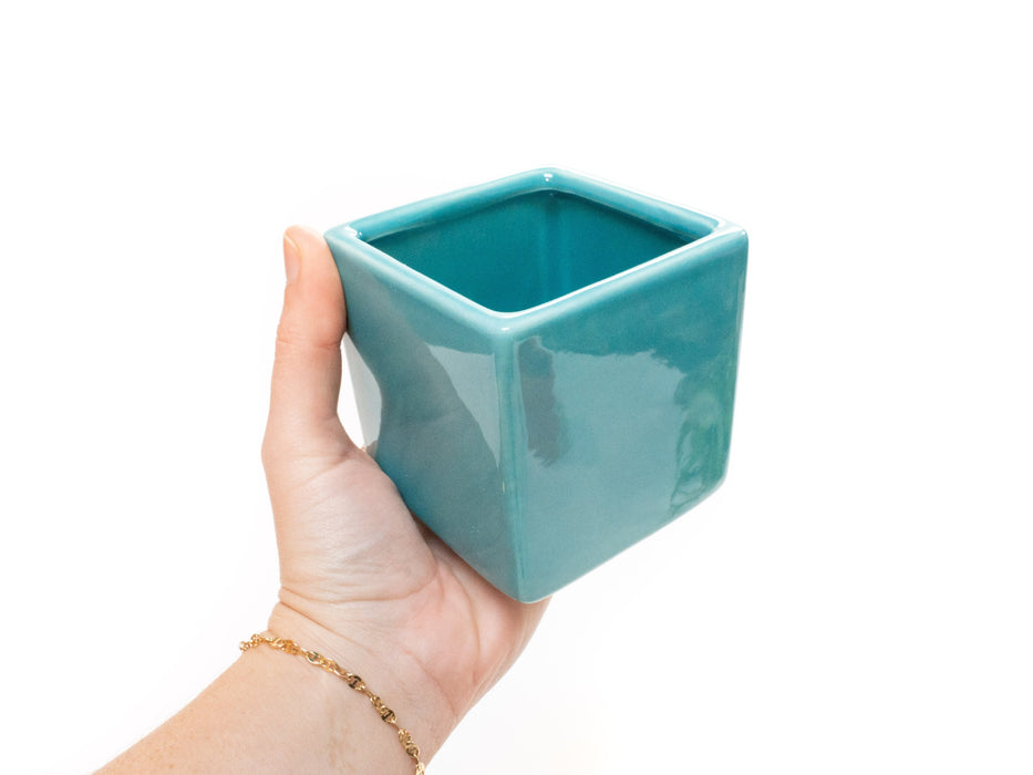Sky Blue Ceramic Cube Container with Assorted Large Tillandsia Air Plant
