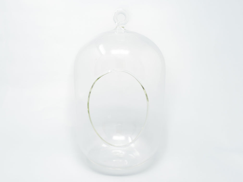Capsule Terrarium with Moss and Tillandsia Air Plants