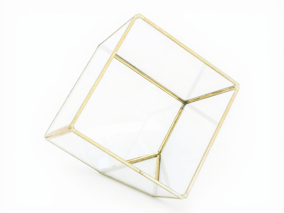 Heptahedron Geometric Glass Terrarium with Tillandsia Red Abdita and Ionantha Air Plants