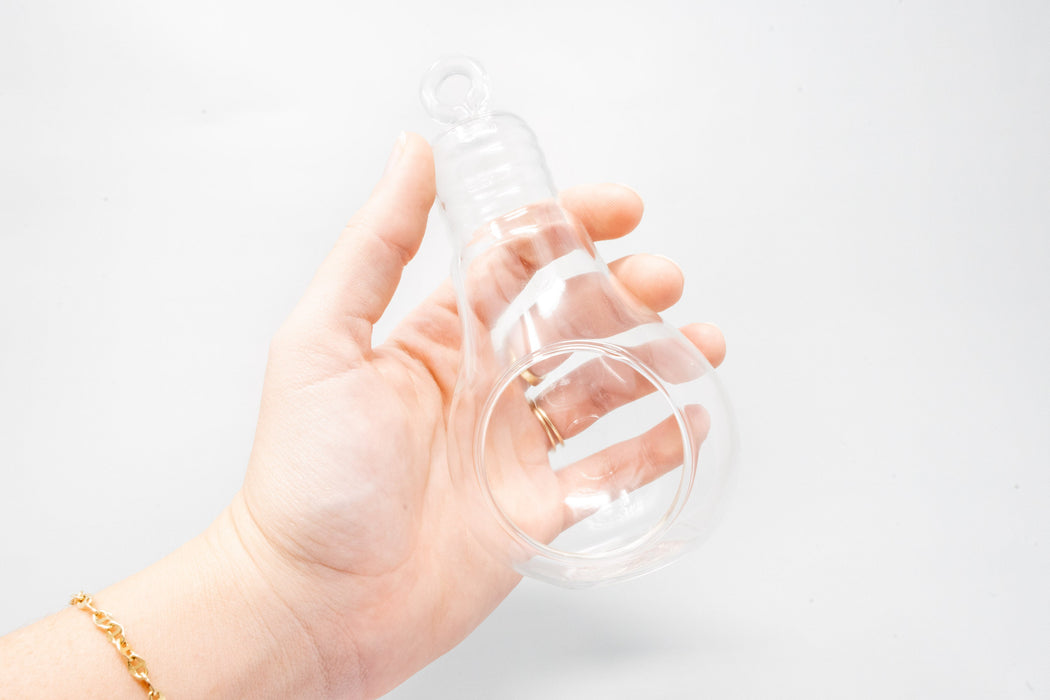 Hanging Light Bulb Terrarium with Crushed White Stones and Tillandsia Air Plant