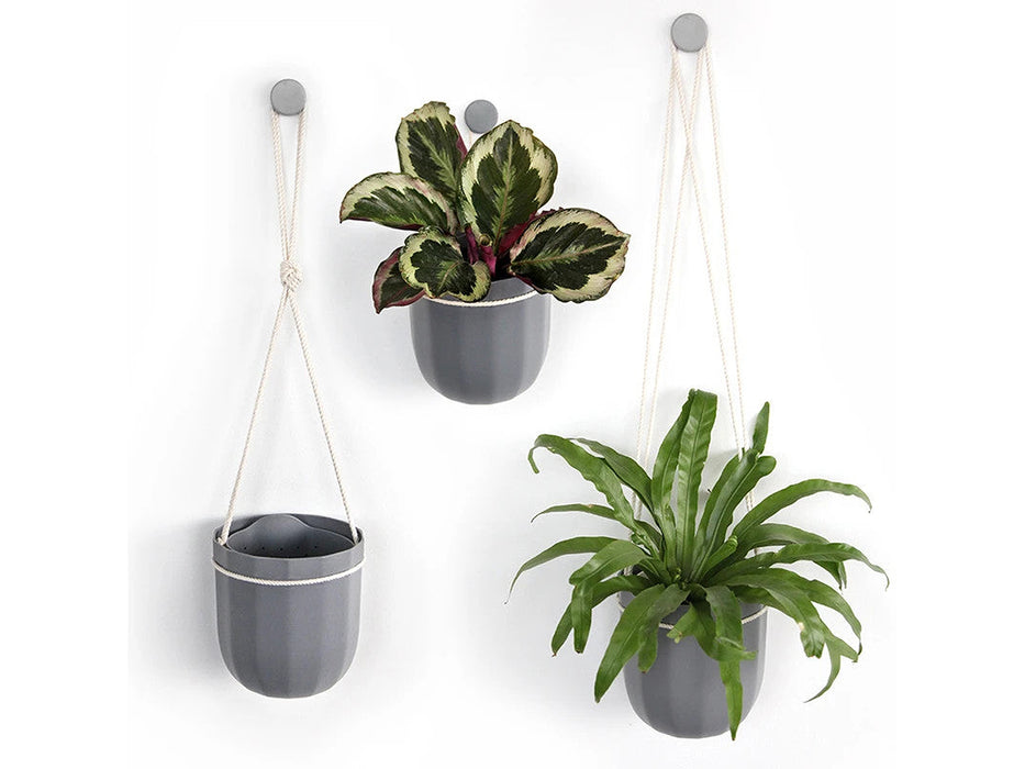 Loop Hanging or Wall Planter