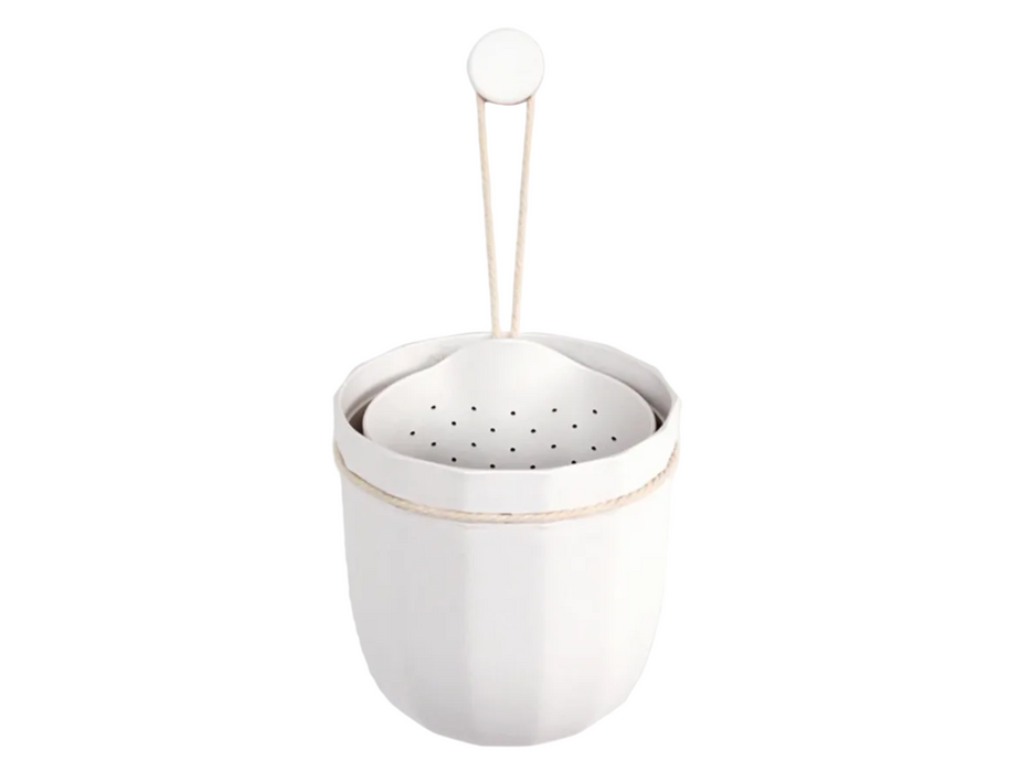Loop Hanging or Wall Planter