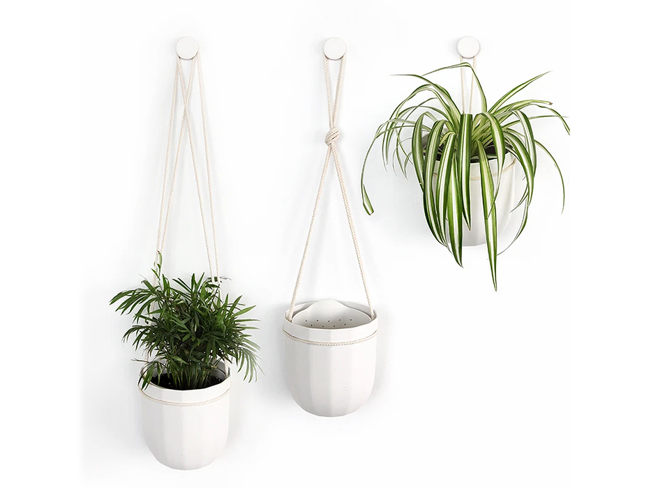Loop Hanging or Wall Planter