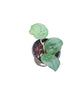 Hoya pentaphlebia