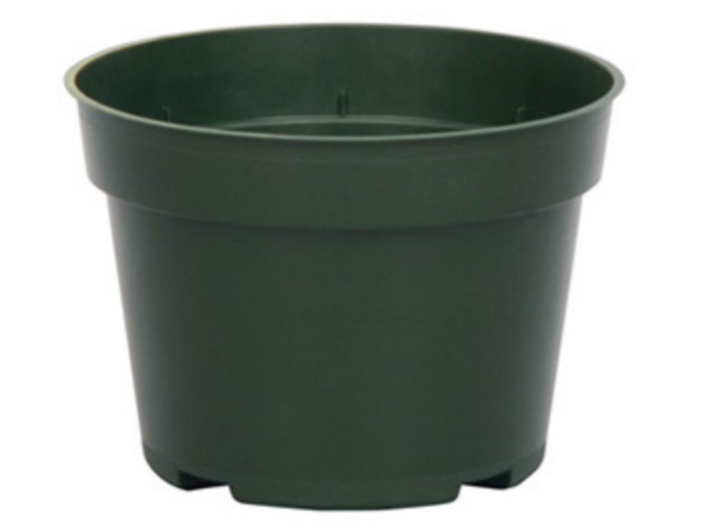 4' Pot