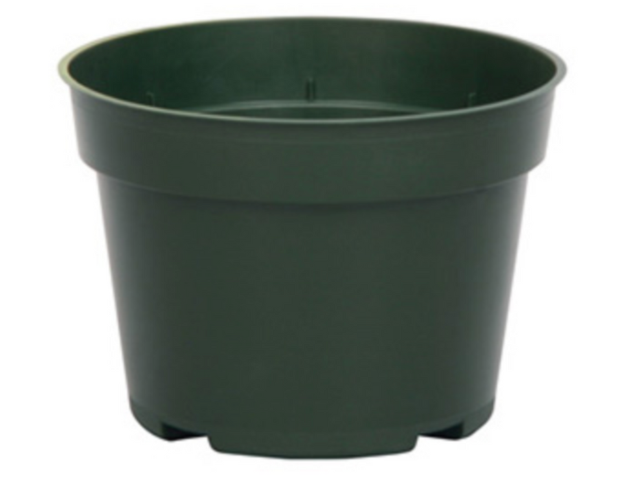 6' Pot - Round Green