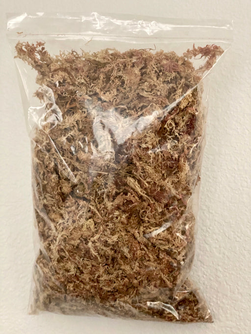 Peruvian Sphagnum moss — Ecuagenera USA Corp
